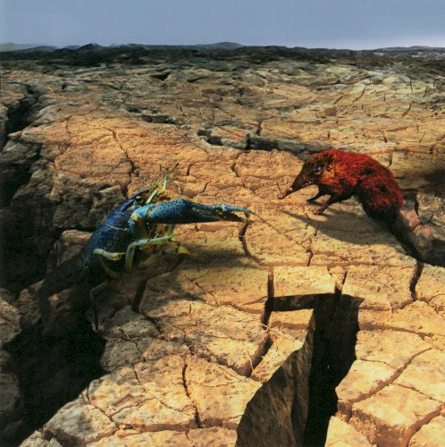 Phideaux - Number Seven